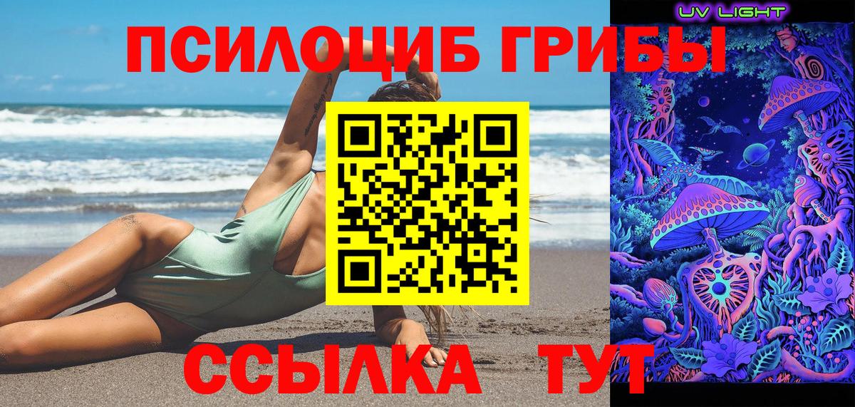 Дербент  Галлюциногенные грибы мухоморы  где купить   Вход с VPN 