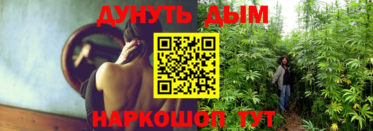 Дербент  Бошки Шишки тримм  Вход с VPN  Бошки марихуана Bruce Banner  Шишки марихуана индика 